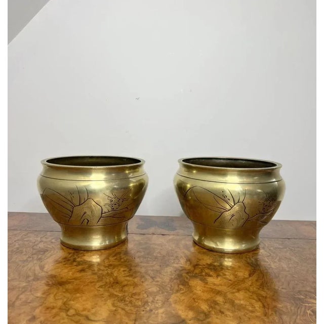 Gold Edwardian Brass Jardinieres, 1900, Set of 2 For Sale - Image 8 of 8