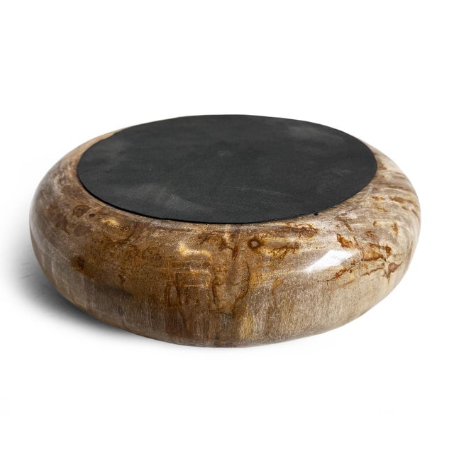 Early 21st Century Organic Modern Vintage Petrified Wood Decorative Bowl For Sale - Image 5 of 7
