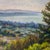 American Ann Thiermann Monterey Bay Pastel Landscape Painting 22" Framed For Sale - Image 3 of 10