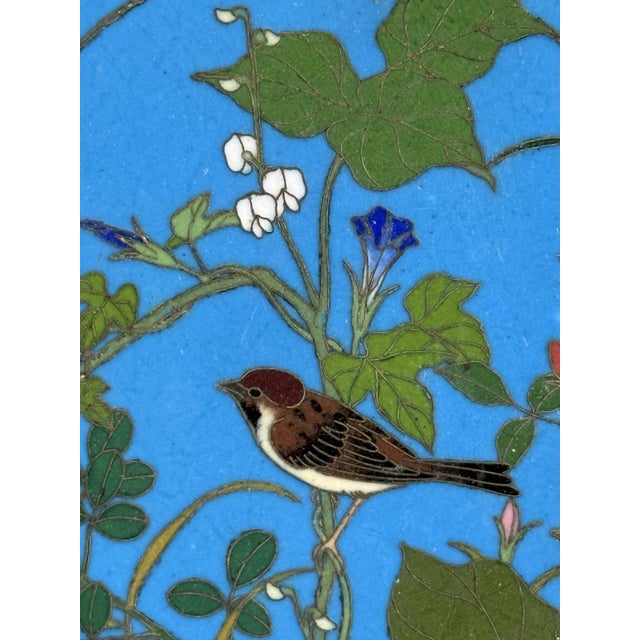 Meiji Japanese Cloisonne Enamel Plate Charger Bird Among Flowering Vines Goto For Sale - Image 4 of 11