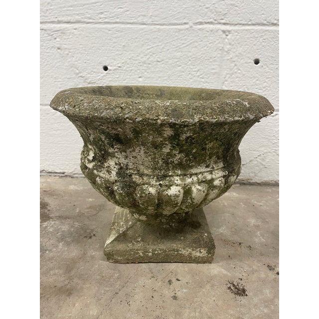 Vintage Asheville Estate Cast Stone Basket Weave Planters For Sale - Image 4 of 7