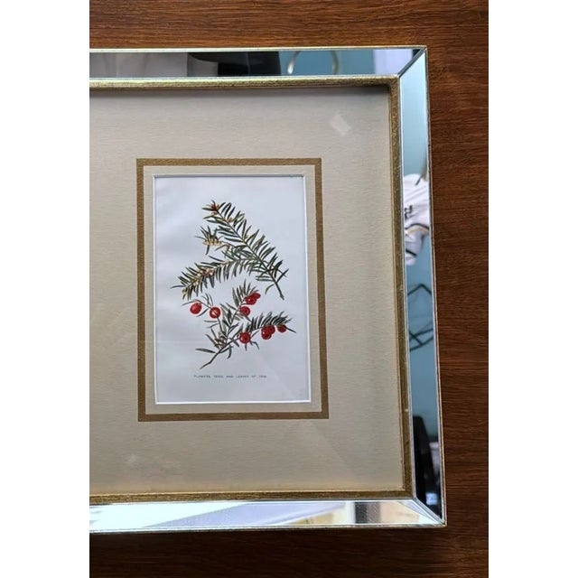 Italian Mirror Frame With English Chromolithographic Floral Prints - 04 For Sale - Image 9 of 12