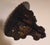 Chinoiserie Black Paper Mache Wall Shelf Bracket For Sale - Image 4 of 17