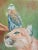 An signed oil painting of an American kestrel sometimes known as the sparrow hawk and a cougar.