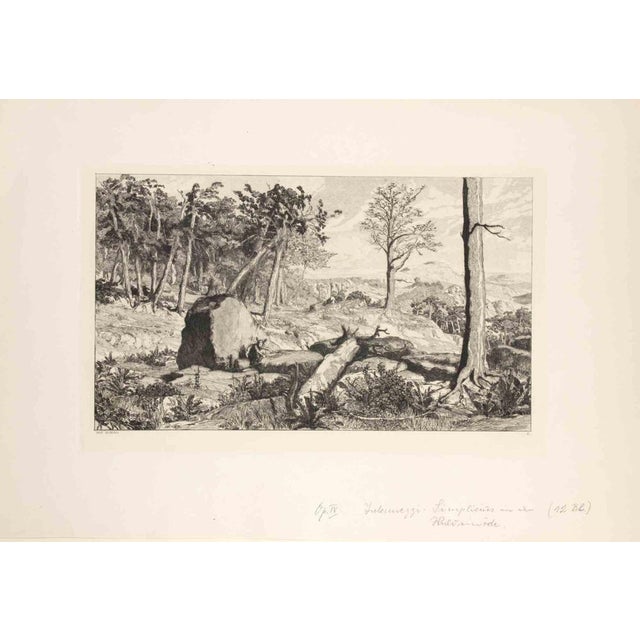 Opus IV, Simplicius in der Waldeinode (Simplicius in the Wilderness) belongs to a series of prints called Intermezzi...