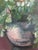 Green Large Vintage Original Floral Still Life Painting With Fruit For Sale - Image 8 of 18