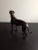 1980s 1980s Solid Bronze Greyhound Doggie Figurine For Sale - Image 5 of 7