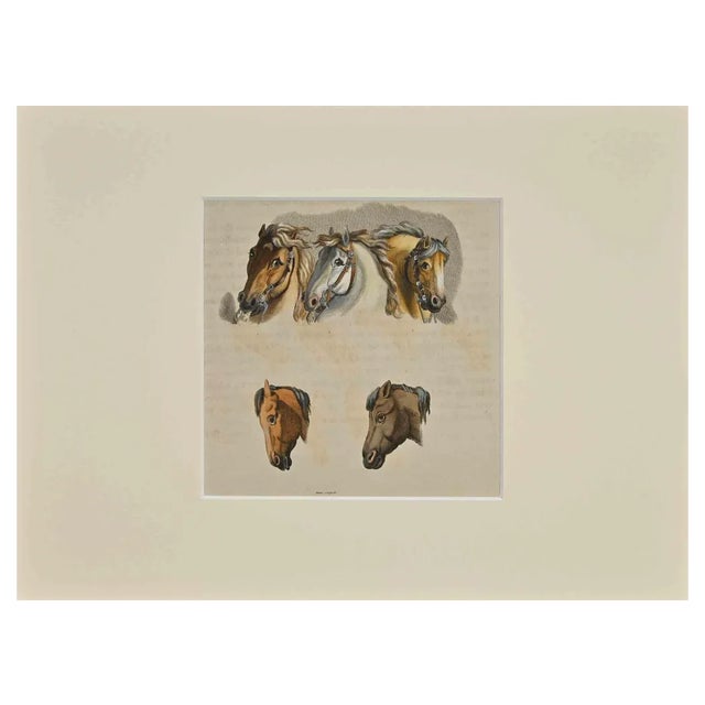 Thomas Holloway, Horses, Etching, 1810 For Sale