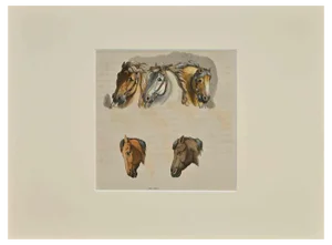 Thomas Holloway, Horses, Etching, 1810