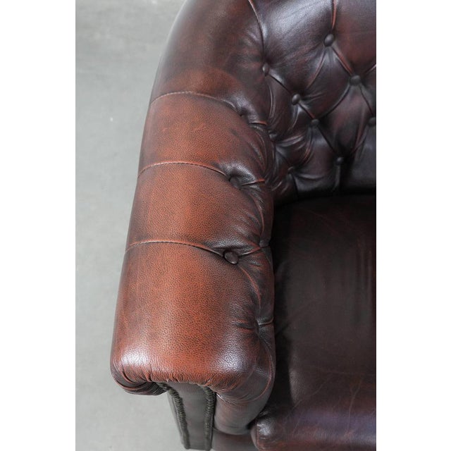 Animal Skin English-Style Chesterfield Club Chair in Cowhide Leather For Sale - Image 7 of 15