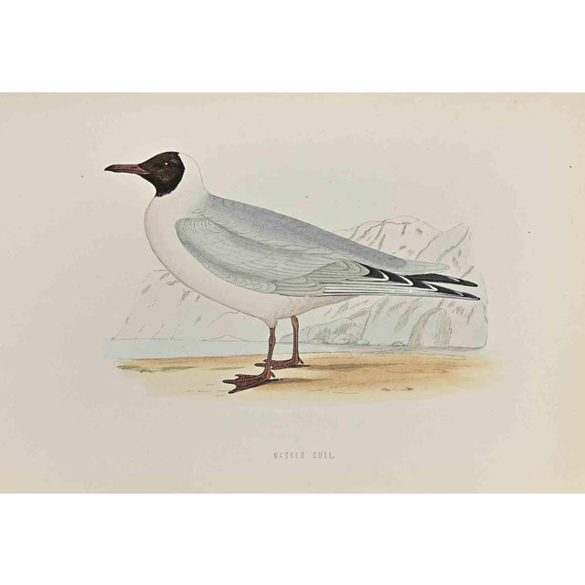 Alexander Francis Lydon, Masked Gull, Woodcut Print, 1870 For Sale