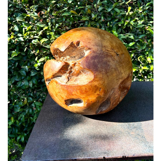 Wood Round Hand Carved Wooden Organic Sculpture For Sale - Image 7 of 10