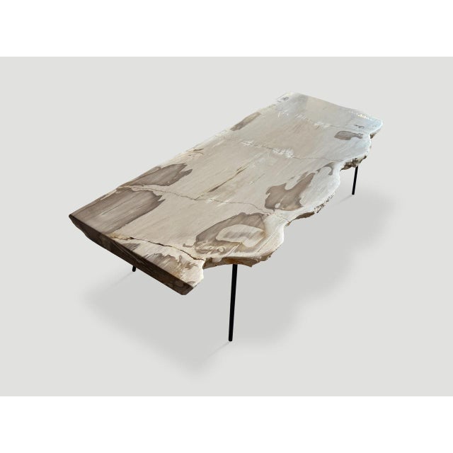 Andrianna Shamaris Minimalist Live Edge Petrified Wood Coffee Table For Sale - Image 11 of 18