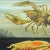 A classical Jung Koch Quentell rollable close up depicting the crayfish in the water and its anatomy. used as teaching...