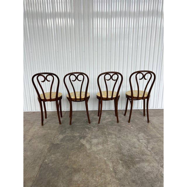 Mid 20th Century Bentwood Cafe Chairs, Wooden, Vintage - Set of 4 For Sale In Birmingham - Image 6 of 12