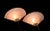 Stepped Glass Salmon Pink and Brass Glass Wall Lamps, 1980s, Set of 2 For Sale - Image 11 of 12