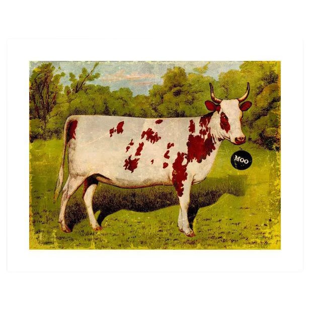 Archival "Moo" Antique Print For Sale