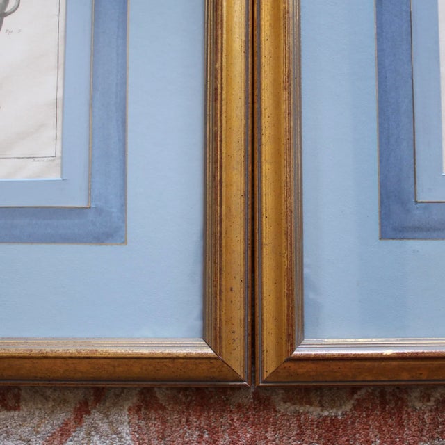 Original 18th Century French Engravings of Horse Bits- a Set of Four For Sale - Image 12 of 12