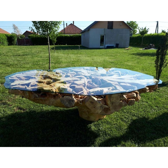 Glass Monumental One-of-a-Kind Sculptural Root Table With Custom Tempered Glass For Sale - Image 7 of 8