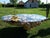 Glass Monumental One-of-a-Kind Sculptural Root Table With Custom Tempered Glass For Sale - Image 7 of 8