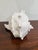 Oversized White Cast Resin Shell Sculpture For Sale In Atlanta - Image 6 of 8