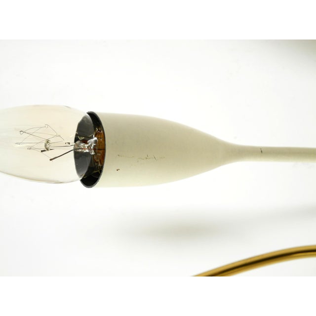 Large Mid-Century Modern Brass Sputnik Ceiling Lamp with 12 Arms, 1950s For Sale - Image 18 of 18