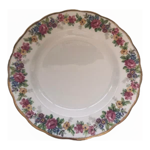 Vintage English Bone China Royal Darwood of England “lynne” Pattern Dinner Plate