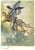 Rare Epreuve d’Artiste (E.A. or Artist's Proof) engraving from Salvador Dalí’s "The Divine Comedy", printed on BKF Rives...