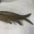 Silver Pair of 1980s Hollywood Regency Style Metal Pheasants For Sale - Image 8 of 12