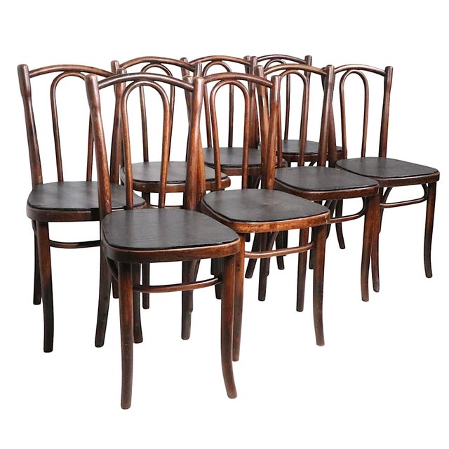 Brown Set of 8 Vienna Secessionist Café Bistro Dining Chairs Made in Poland Attributed To Thonet C 1900/20’s For Sale - Image 8 of 12