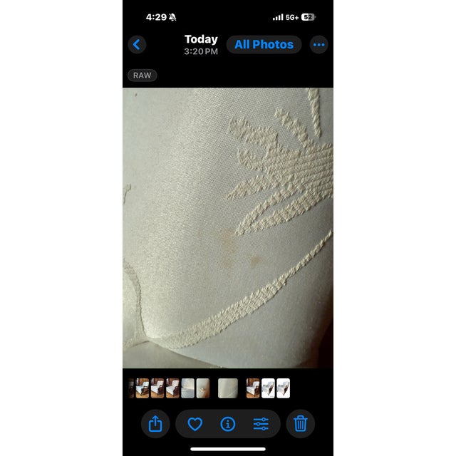 Mid- 20th Century Vintage French Bergere Empire Style Swan Armchair in White For Sale - Image 9 of 9