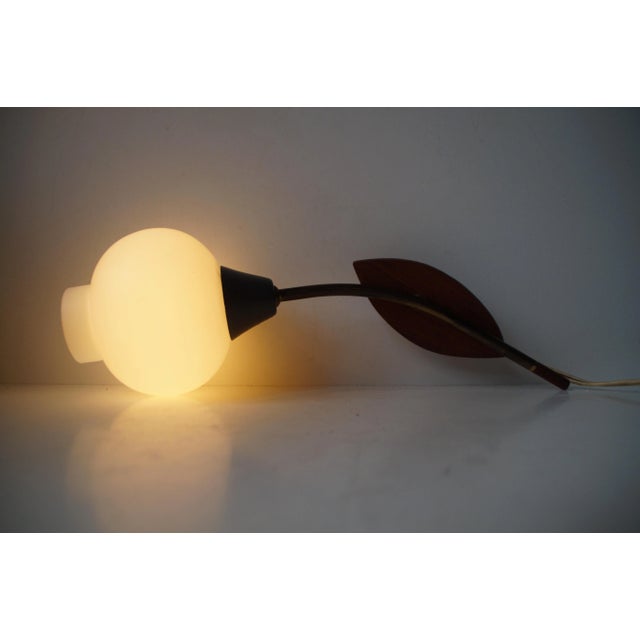 Italian Modernist Tulip Sconce in Brass, Teak and Opal Glass, 1950s For Sale - Image 9 of 10