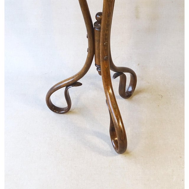 Art Nouveau Bentwood Flower Stand, 1890 For Sale - Image 3 of 14