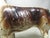 Vintage Cast Iron Hubley Boston Terrier Doorstop For Sale - Image 15 of 15