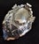 Antique Victorian Sterling Silver Navette Bon Bon Dish, 1889 For Sale - Image 15 of 18