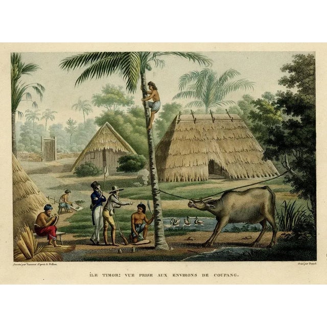 French Travellers Visiting Village in Kupang, 1825, Print For Sale - Image 3 of 5