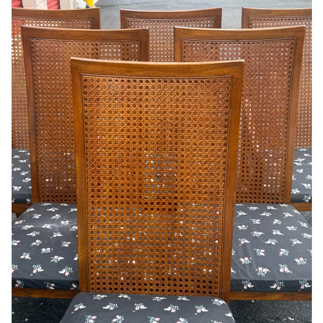Mid-Century Modern Mid Century Drexel Heritage Cane Back Dining Chairs - Set of 6 For Sale - Image 3 of 12