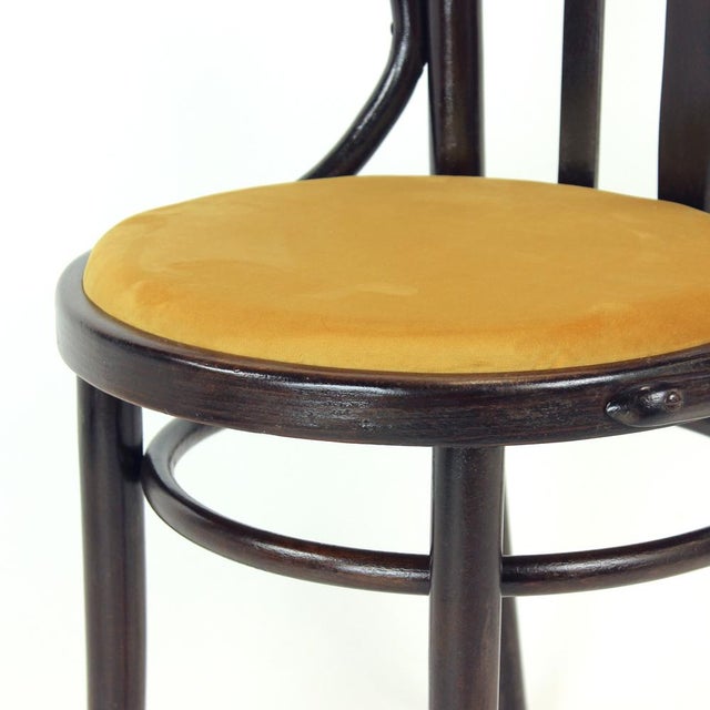 Bentwood Armchair from Ton, Czechoslovakia, 1950s For Sale - Image 11 of 14