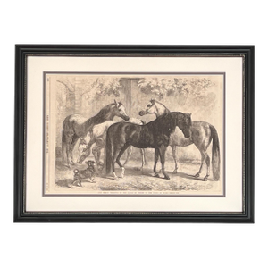 Framed English Antique Horse Print- Authentic “Illustrated London News” Print 1867