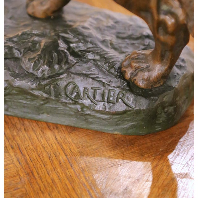Early 20th Century French Animalier Bronze Hunt Dog Sculpture Signed T. Cartier For Sale - Image 4 of 11
