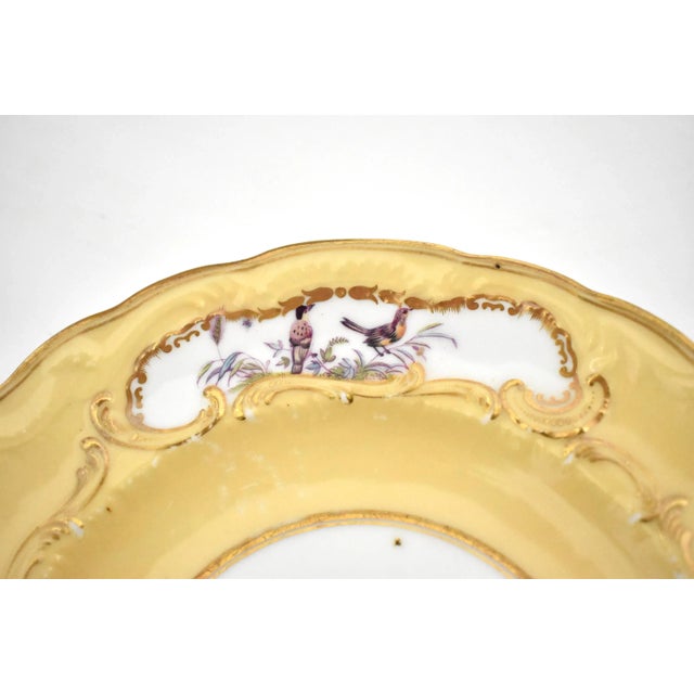 Yellow Set of 9 Hand-Painted Sevres-Style Porcelain Small Plates With Flowers & Birds For Sale - Image 8 of 13