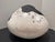 Large Sculptural Studio Pottery Vessel / Pod Form White Crackle Raku-Style Glaze, Textured Panels For Sale - Image 4 of 17