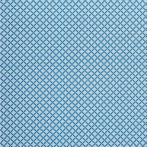Schumacher Serendipity Fabric in Blue