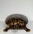 Wood 1990s Sculptural Wood & Tortoiseshell Lacquer Turtle Box For Sale - Image 7 of 10