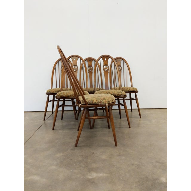 Set of 6 authentic vintage mid century modern dining chairs. "Swan Chair" by Ercol. Model 876. Maker's label on bottoms....