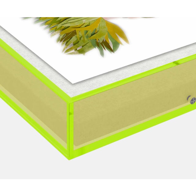 DESCRIPTION: Iris with Chartreuse Feathers by Melvin G in Neon Green Acrylic Shadow Box, Small Art Print SPECIFICATIONS:...