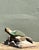 Vintage Hand Carved Turtle Sculpture For Sale In West Palm - Image 6 of 12