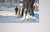 Blue Arriving at Church in Winter - Figurative Realistic Illustration by Charles Kinghan For Sale - Image 8 of 11