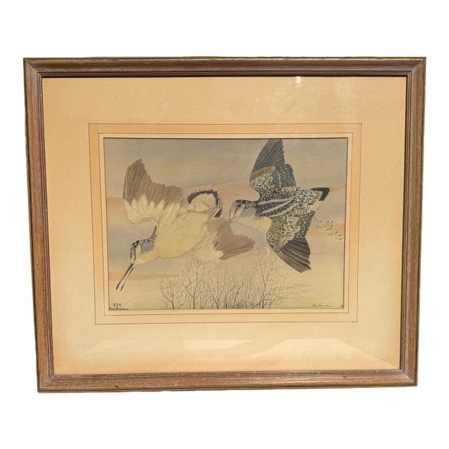 Rex Brasher Hand-Colored Print of the American Woodcock, Birds & Trees of North America, C. 1929–1932 For Sale