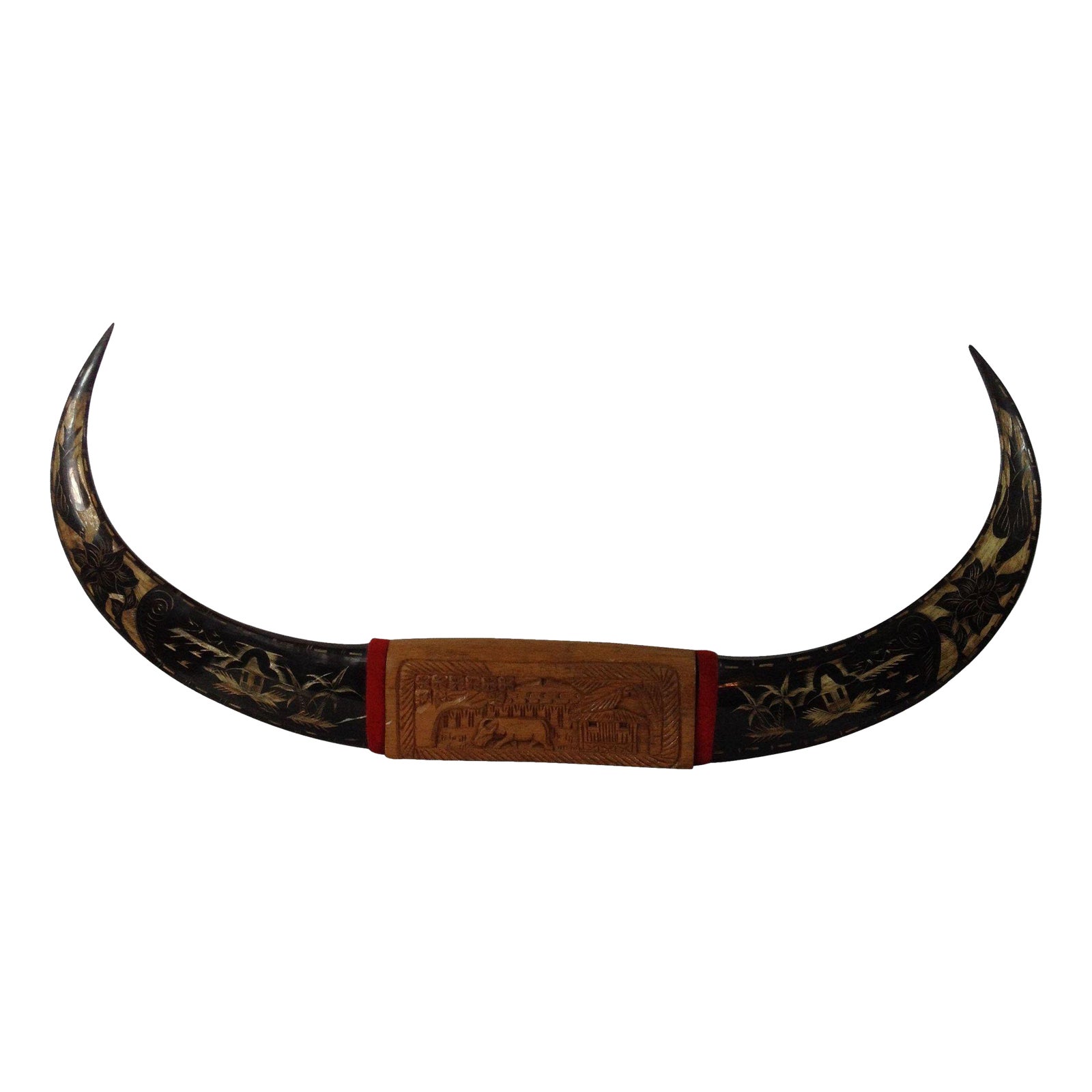 Antique Mounted Hand Carved Water Buffalo Horns Chairish